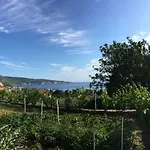 Vigo 公寓