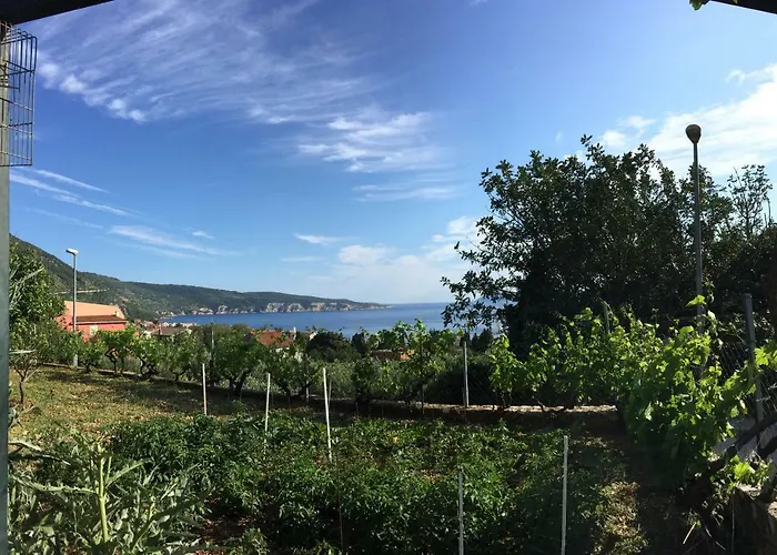 Vigo Διαμέρισμα