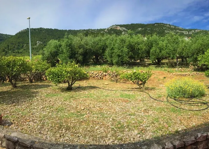 Vigo Διαμέρισμα